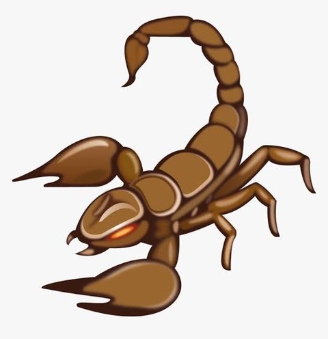 mrscorpion avatar