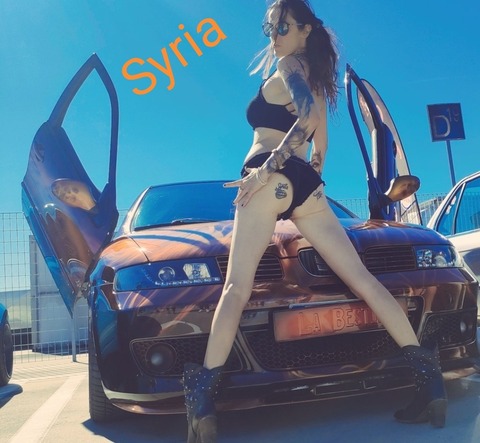 syria.hard avatar